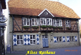 a_Rimg0209_1