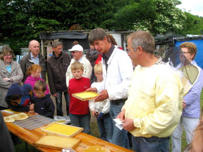 3 Bienenkunde zur Einleitung