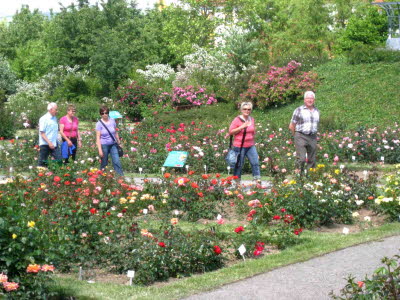 E5 Rosarium Sangerhausen